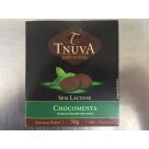 MOEDAS CHOCOLATE SABOR MENTA - CAIXA UNITÁRIA 50G